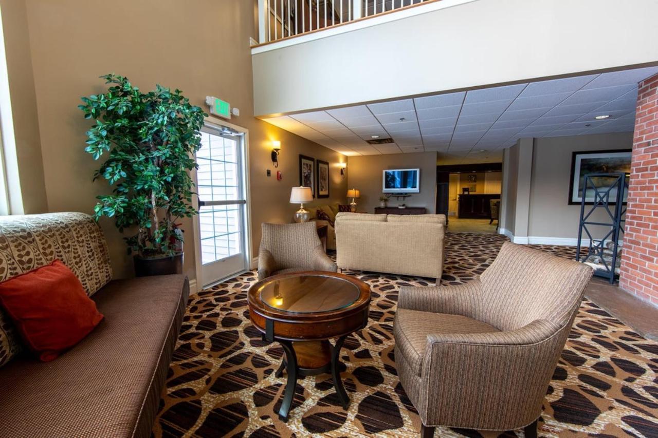 Holiday Inn Club Vacations Mount Ascutney Resort Brownsville Exteriér fotografie